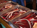 2006-04 Tokyo